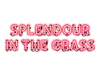 logo-splendour-in-the-grass-1